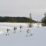 bundeswehr-4776120_640